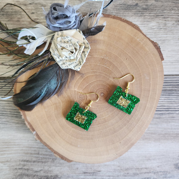 Oregon Acrylic Dangly Earrings
